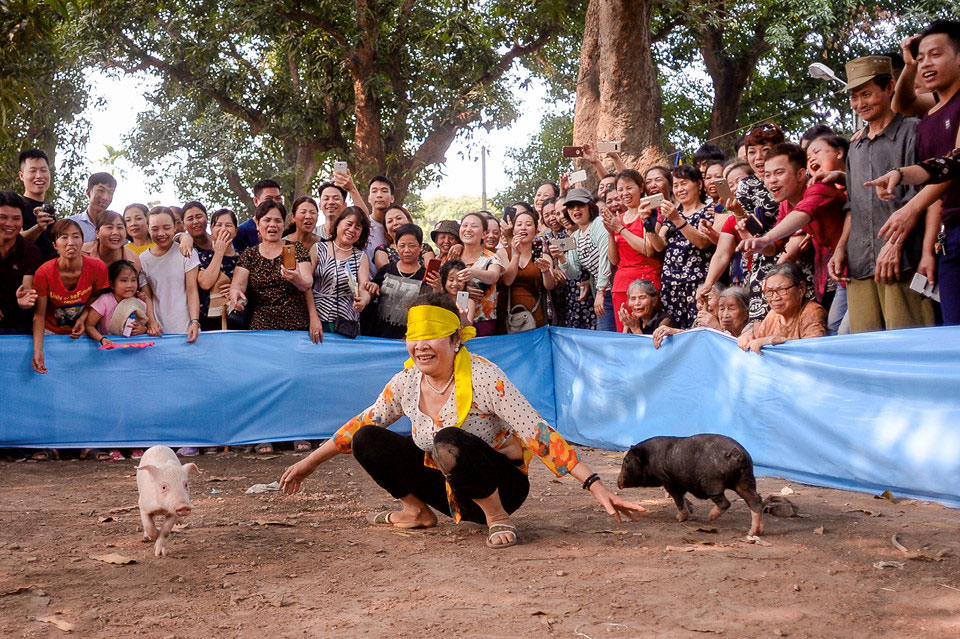 Thi nấu cơm, bắt lợn vui nhộn giữa thủ đô